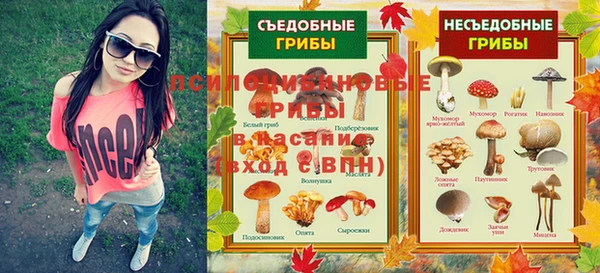 круглые Абаза