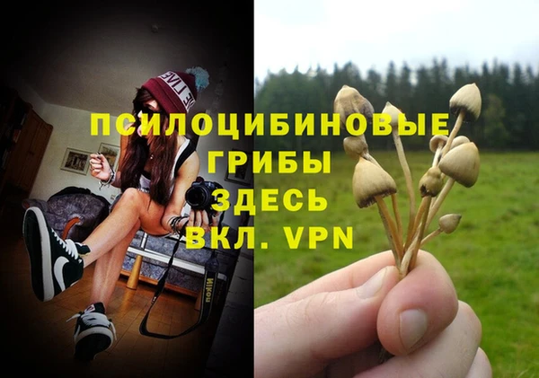 Альфа ПВП Абдулино