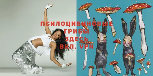 шишки Покров