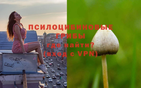 Альфа ПВП Абдулино