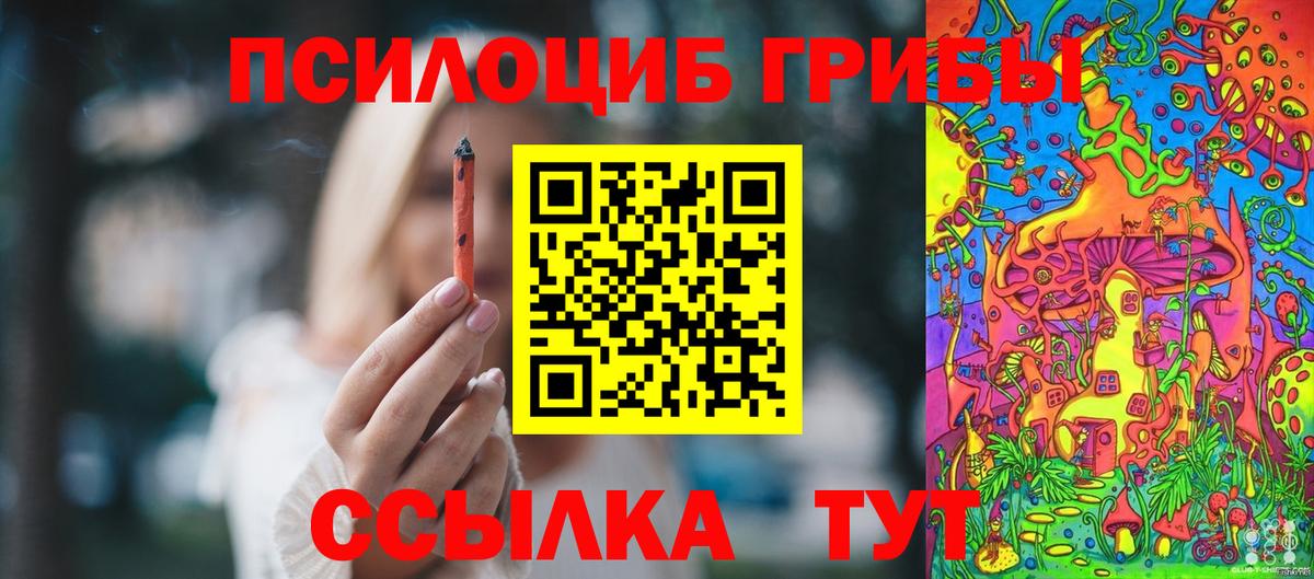 Галлюциногенные грибы мицелий  Галлюциногенные грибы мицелий  Вход с VPN  где купить наркоту  Владикавказ 